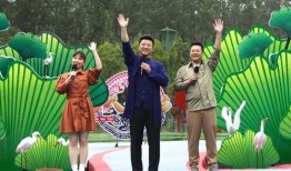 巴哥最新爆料视频播放器,揭秘视频播放器背后的秘密与革新